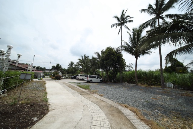 Other View