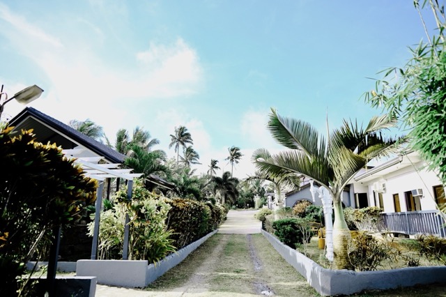 Garden Area 5